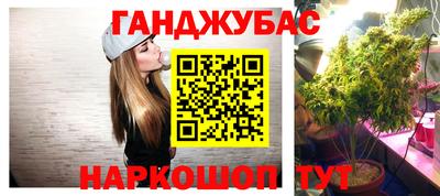 стаф Новодвинск